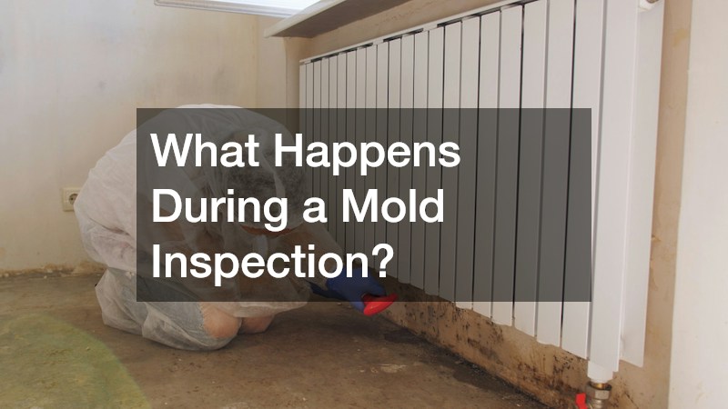 What Happens During a Mold Inspection?